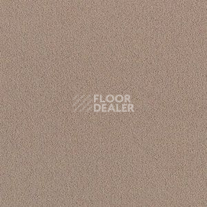 Ковролин Brintons Majestic Mink m 382 фото 1 | FLOORDEALER